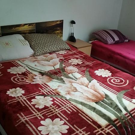 Sosnowy Dworek Apartment Jozefow  Luaran gambar