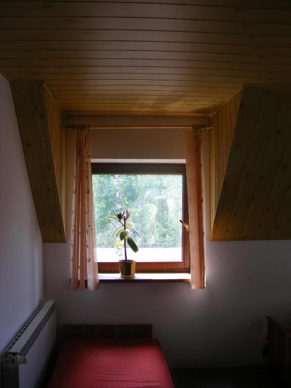 Sosnowy Dworek Apartment Jozefow  Luaran gambar