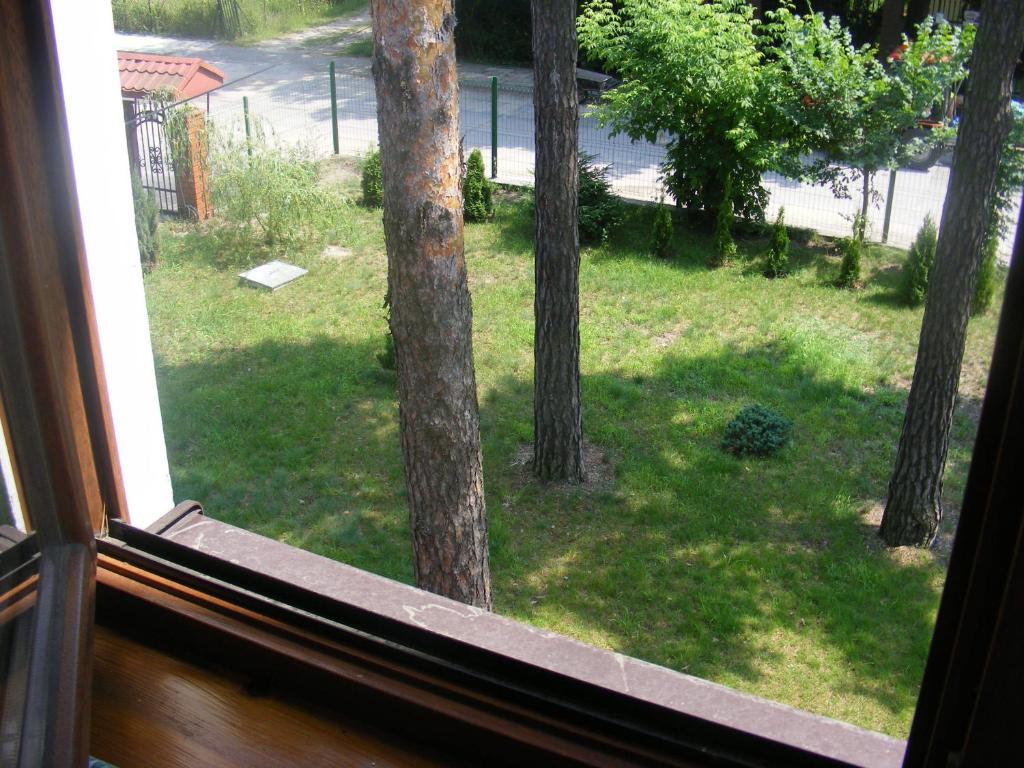 Sosnowy Dworek Apartment Jozefow  Luaran gambar