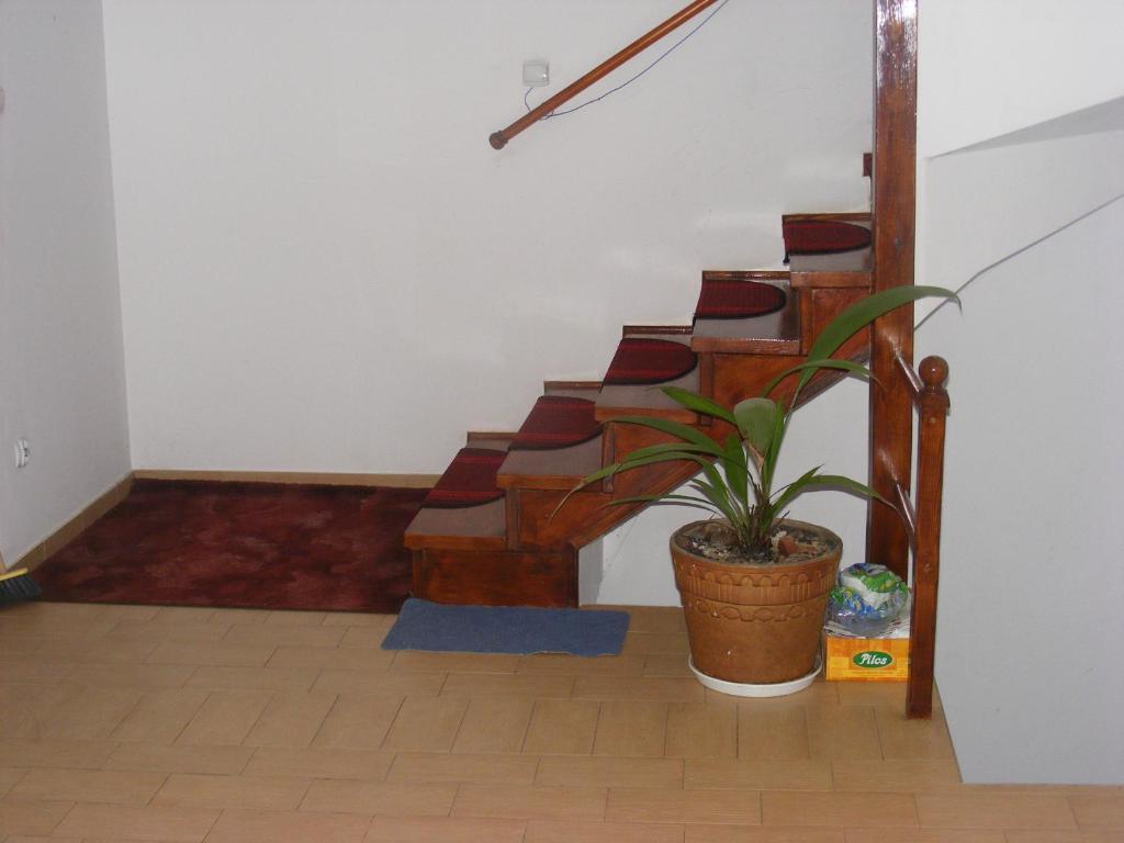 Sosnowy Dworek Apartment Jozefow  Luaran gambar